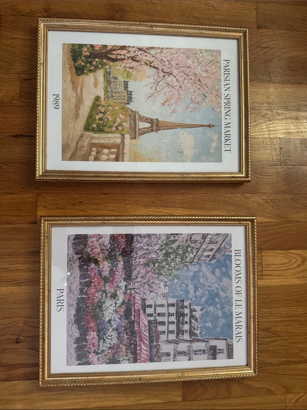 Set of 2 Parisian Floral Framed Prints - Gold Frames